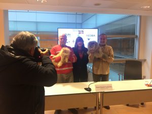 Plus de 250 chats se réuniront à Ficoba à l’occasion de la XIIIe Exposition Internationale Féline