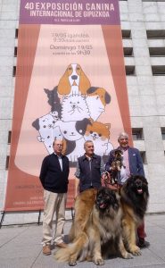 Más de 600 perros llenarán los pabellones de Ficoba en la Exposición Canina Internacional de Gipuzkoa
