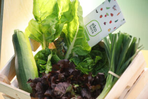 Bioterra a déjà vendu près de 90 % de son espace d’exposition