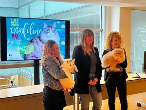 XVI Edición de la Exposición Internacional Felina en Ficoba