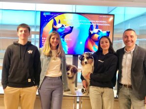 La Gran Fiesta Canina regresa con fuerza: 43ª Exposición Internacional y 49ª y 50ª Exposición Nacional Canina de Gipuzkoa